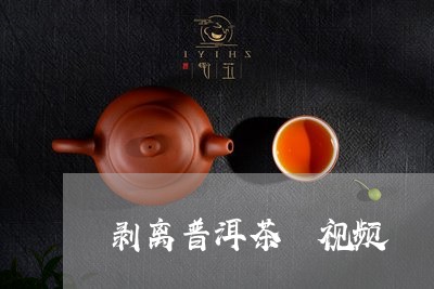 剥离普洱茶 视频/2023041091725